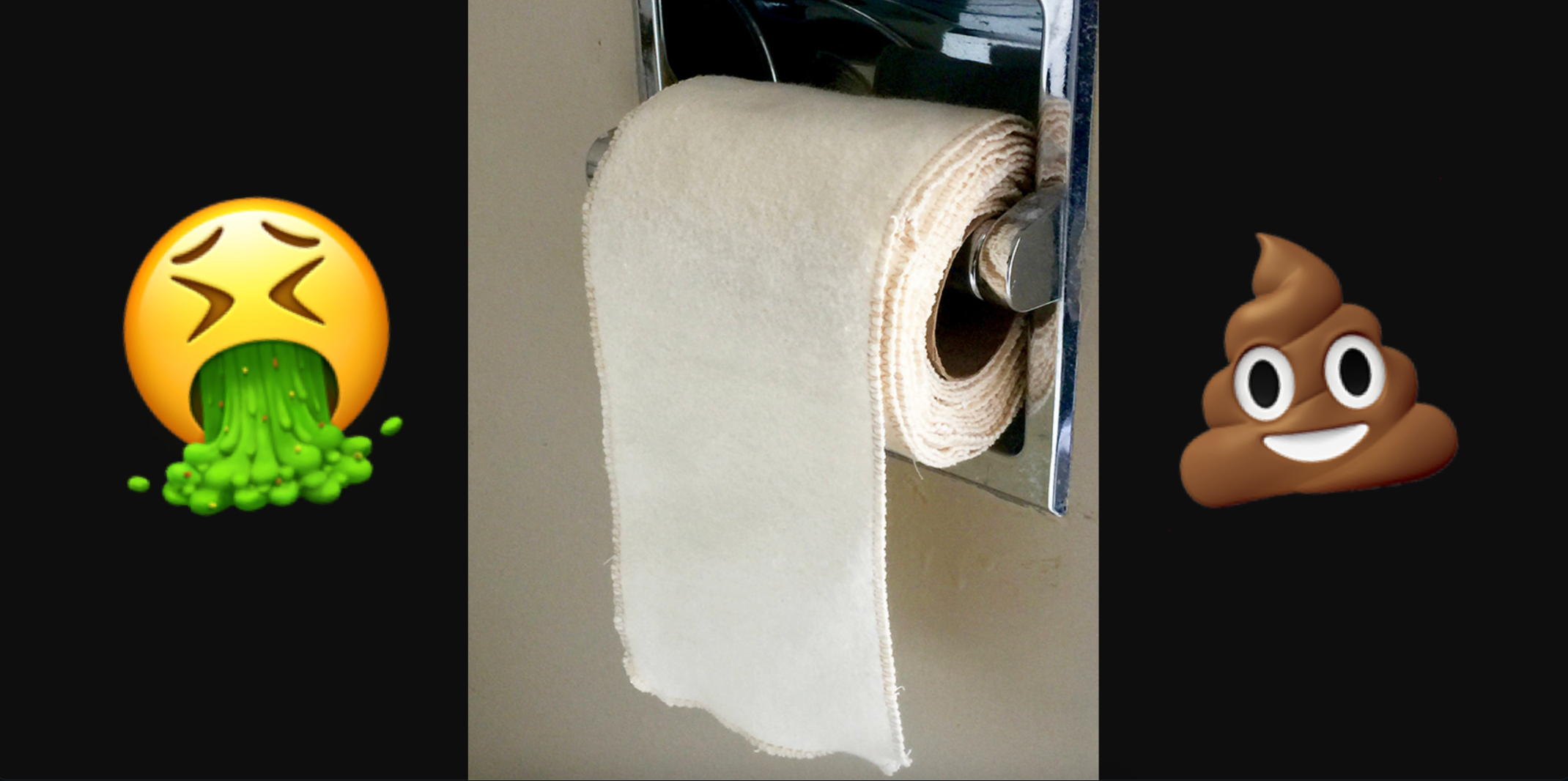 reusable toilet paper