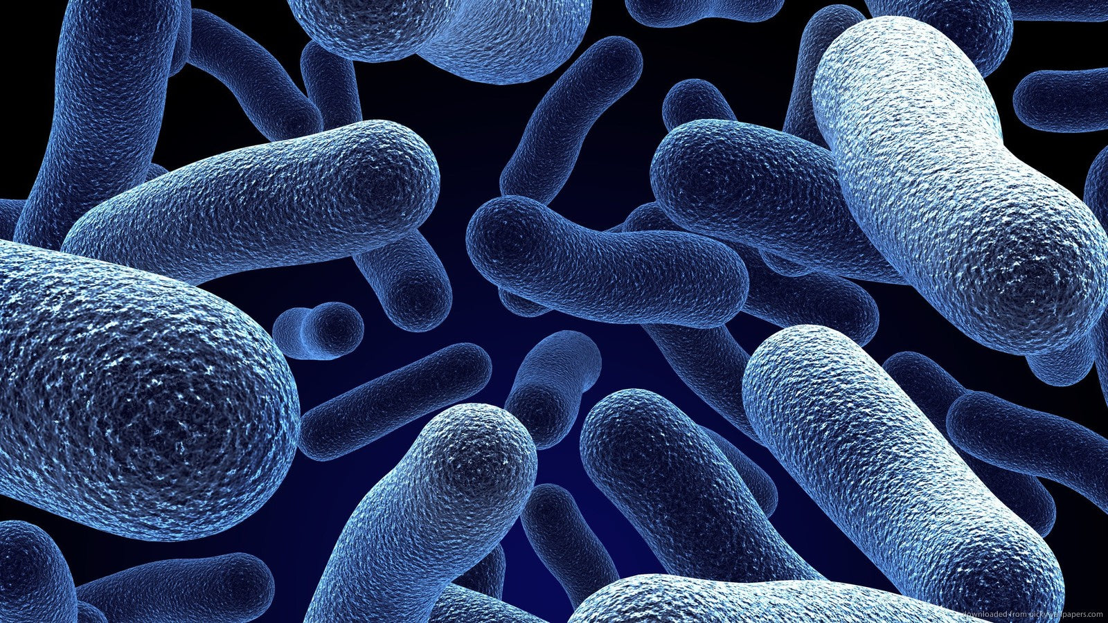 Yes, Probiotics Make You Poop. But It’s Complicated.