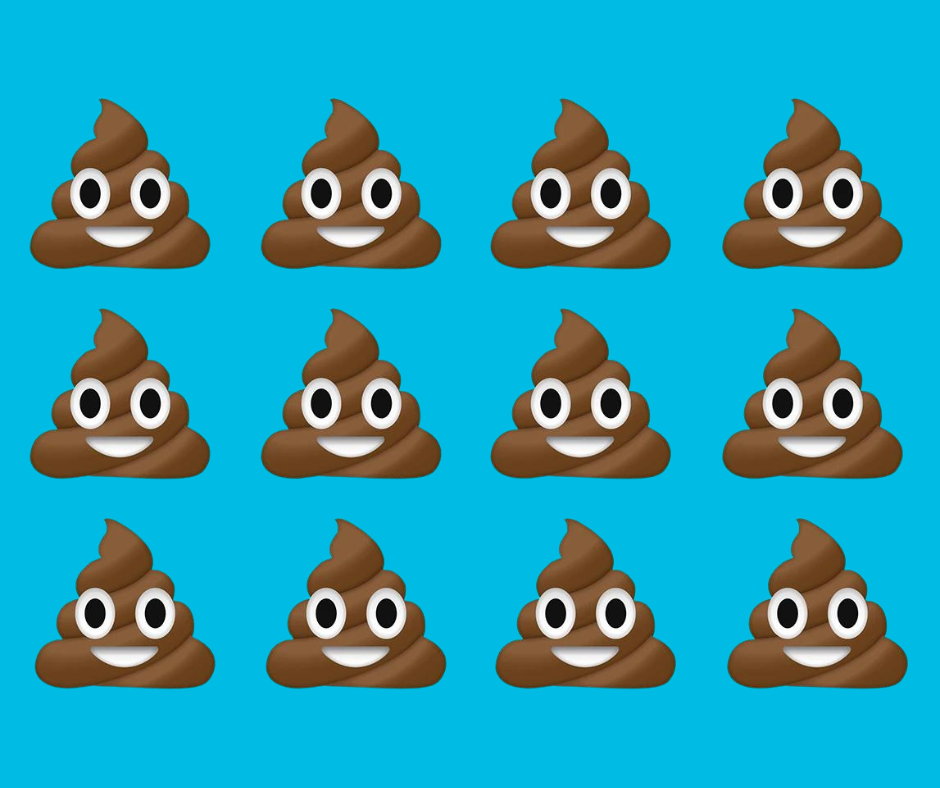 How Often Should You Poop? Follow the 3 and 3 Rule