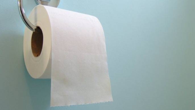 Ending The Great Toilet Paper Roll Debate